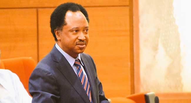 Shehu Sani Releases Fresh Revelations, Explains Why APC Lost Zamfara