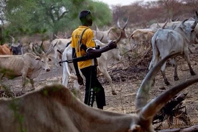 Miyetti Allah calls for establishment of Fulani vigilantes in S-East