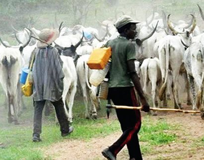 S’East govs, Akeredolu, Ortom, Ishaku, others reject FG’s Ruga settlements for herdsmen