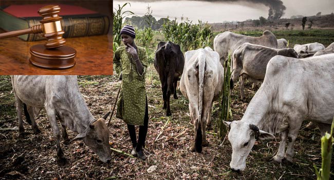 Benin-Asaba Expressway Blocked as Hausa-Fulani Protest Killing of Truck Driver in Delta