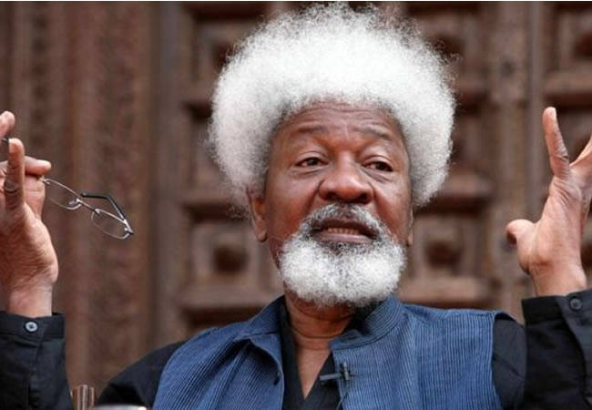 FG, National Assembly bringing rejected water bill through the back door, says Soyinka