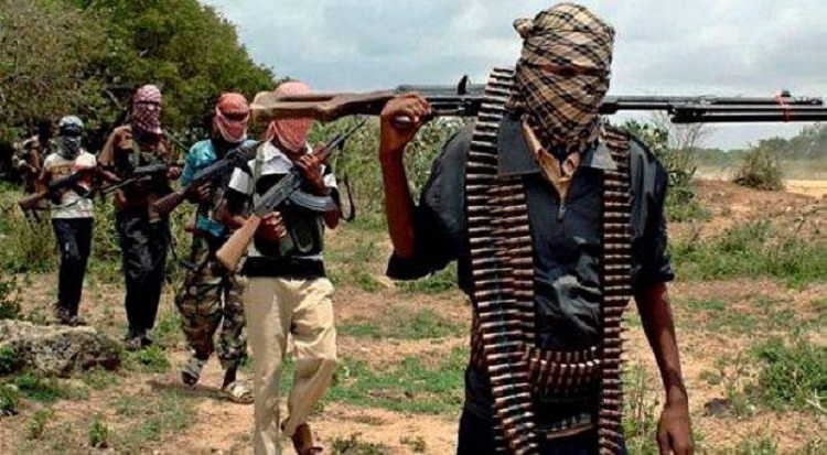 Insurgency: 10 Killed, Many Passengers Missing In Borno Attack