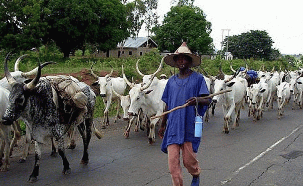Herdsmen invade Ondo Community, kill OPC member, abduct farmer