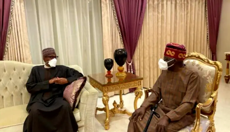 Buhari, Tinubu meet in Aso Rock