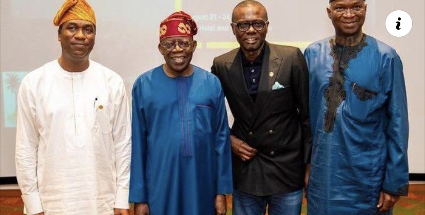 Revealed: Report links Tinubu, Fashola, Sanwolu, Oyetola to 20 UK properties