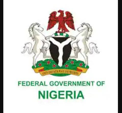 Why FG should Recruit forest guards to tackle bandits, Northern youths