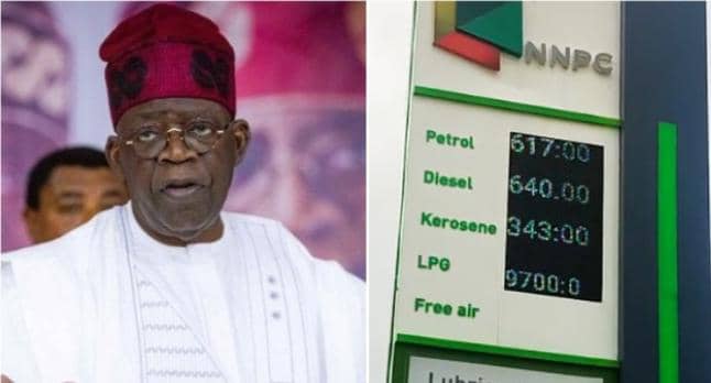 Tinubu Should have Waited Six Months Before Removing Petrol Subsidy– Prof Sagay