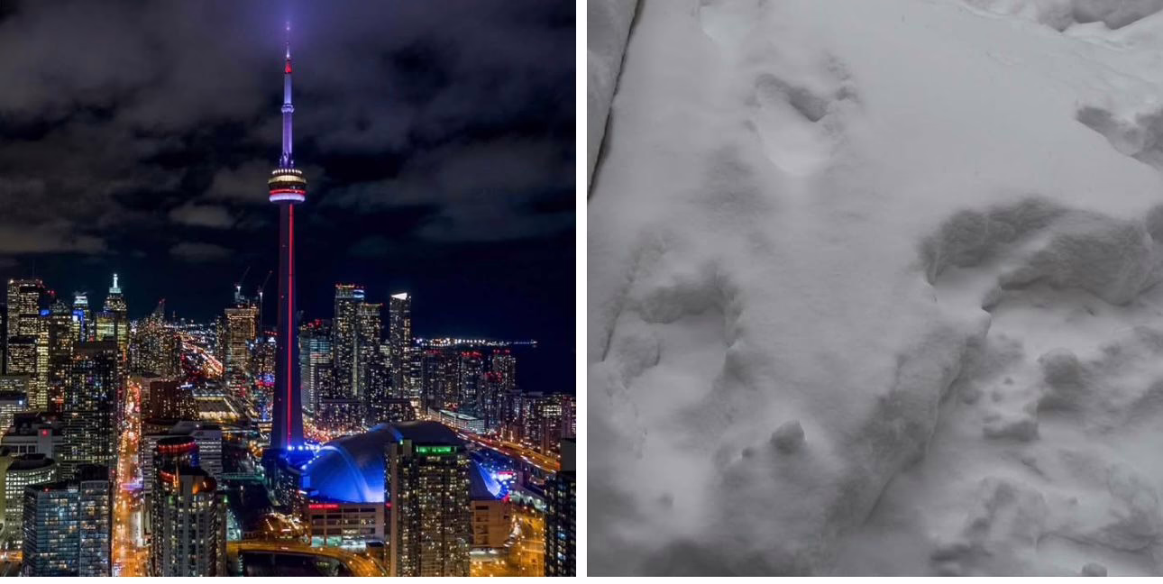 Winter Storm Brings Snowy Thursday to Toronto: Freezing Conditions With 30 cm of Snow Expected
