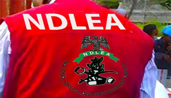 NDLEA Arrests Suspect with 1,499 Bottles of Codeine in Kano State