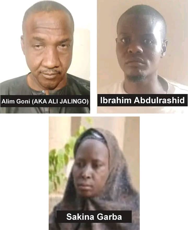 Court Jails Three in Taraba For 10yrs Over Arms Trafficking