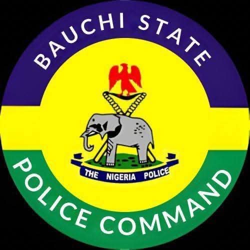 Bauchi Police Arrest Suspect in Child Kidnap and Homicide Case, Recover Victim’s Body