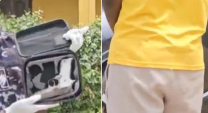 Delta Police Arrest Man for Buying Gun via Snapchat