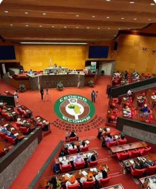 ECOWAS Parliament Moves to Address Xenophobic Attacks in South Africa