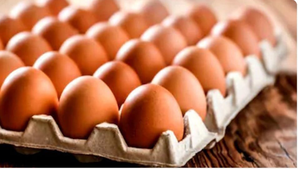 Economic Hardship Pushes Eggs Beyond Reach of Many Nigerians