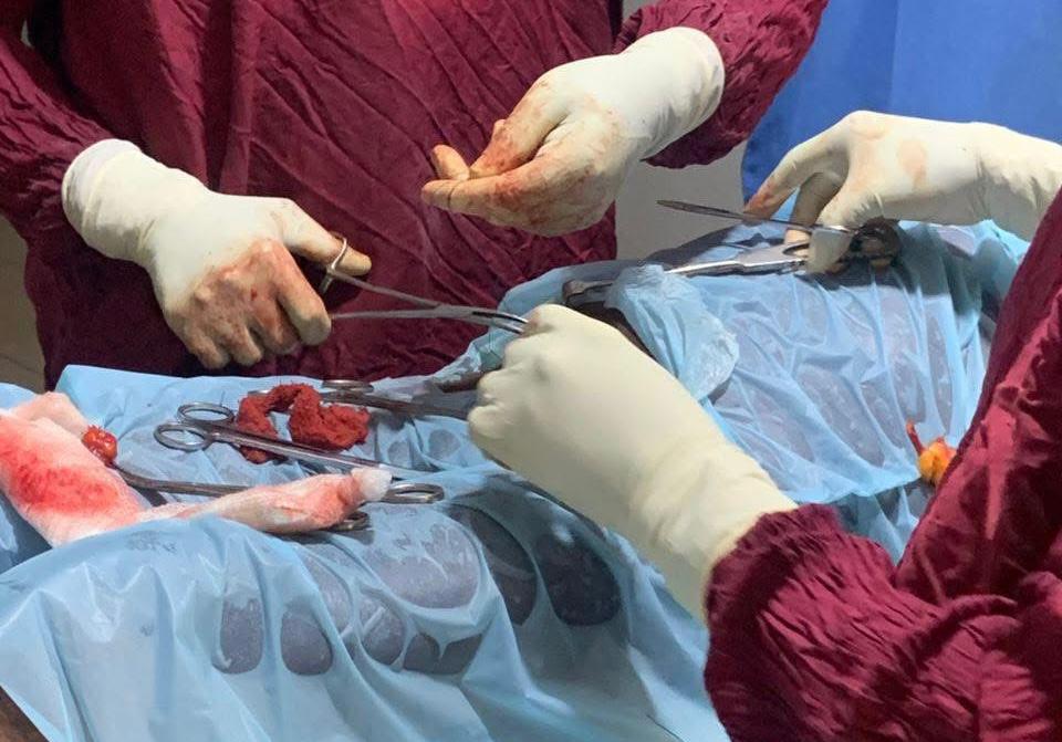 APC Primaries: As Defeated Politicians Complain, Ondo Offers Free Surgeries Under Aiyedatiwa