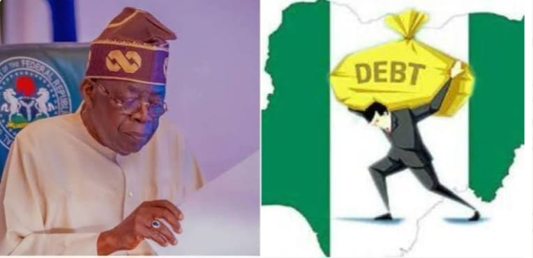 Nigeria’s Rising Debt Means Every Citizen Owes About N670,000 — OPS Ex-Chairman