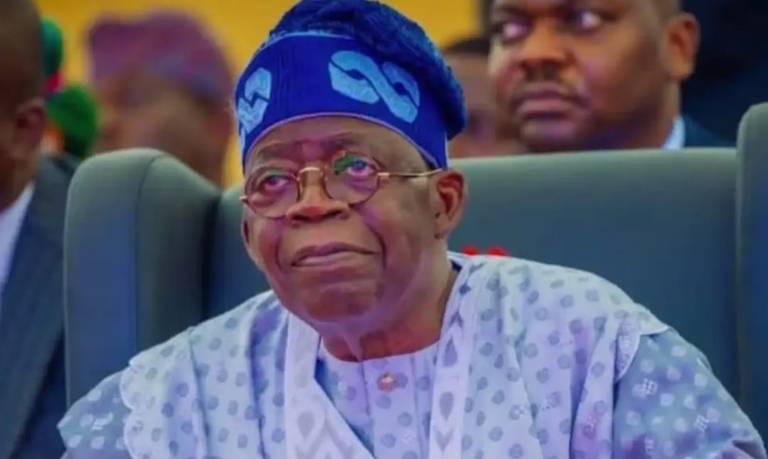 Presidency Defends Tinubu’s Borrowing, Says Nigeria Not Over-Borrowed