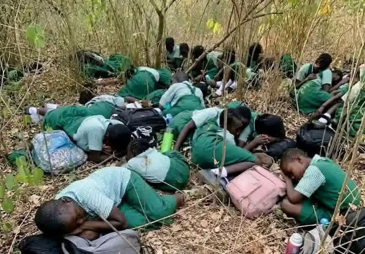 Opinion: School Kidnappings and the Dangerous Normalisation of Fear in Nigeria