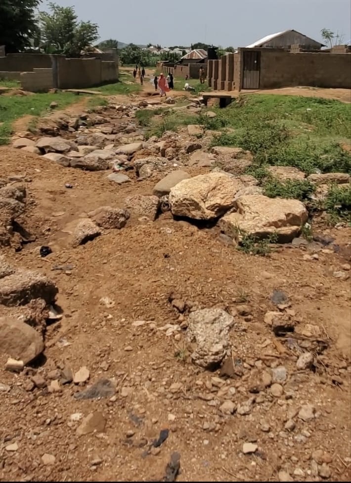“We Carry Patients on Foot”: Bauchi Community Laments Lack of Roads and Water